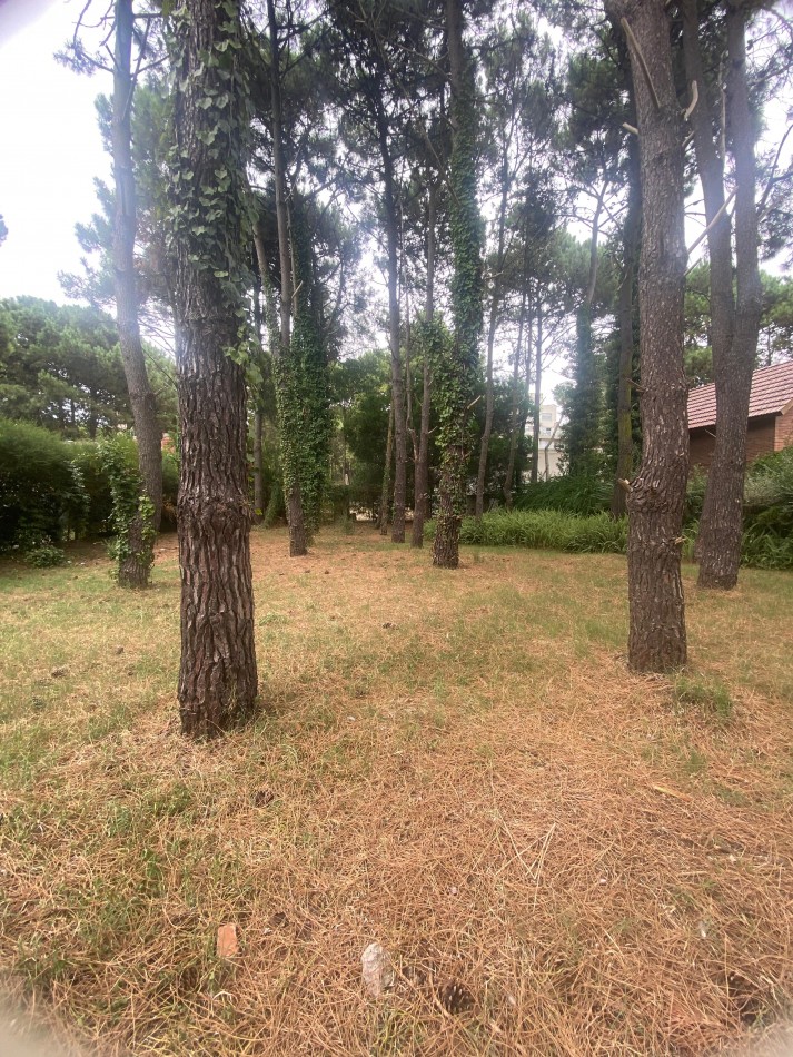 LOTE MULTIFAMILIAR CALLE RIVADAVIA EN PINAMAR