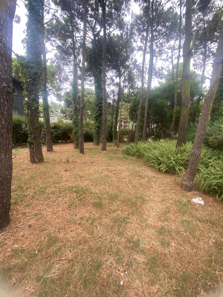 LOTE MULTIFAMILIAR CALLE RIVADAVIA EN PINAMAR