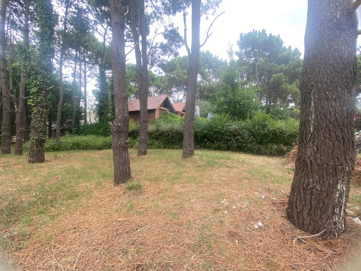 LOTE MULTIFAMILIAR CALLE RIVADAVIA EN PINAMAR