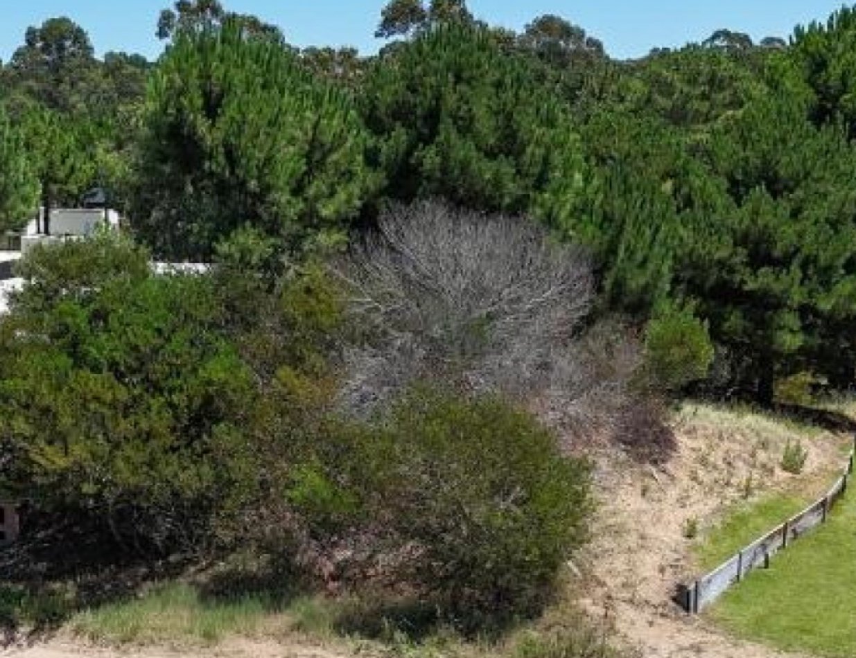 lote en  oportunidad costa esmeralda senderos III