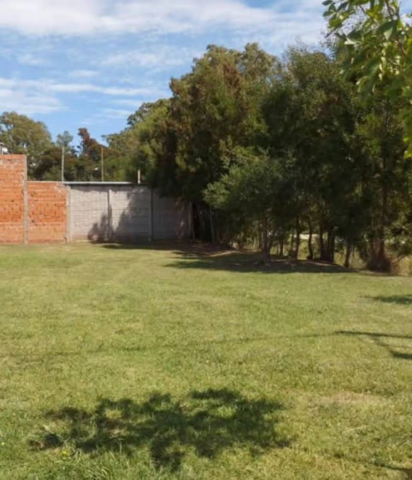 lote pemuta total 