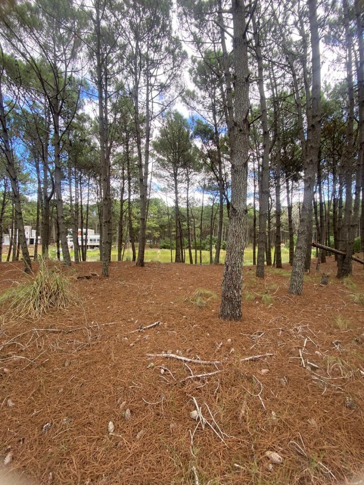 LOTE 58 -EN BARRIO BRISAS EN VILLA ROBLES -CERCANO AL MAR