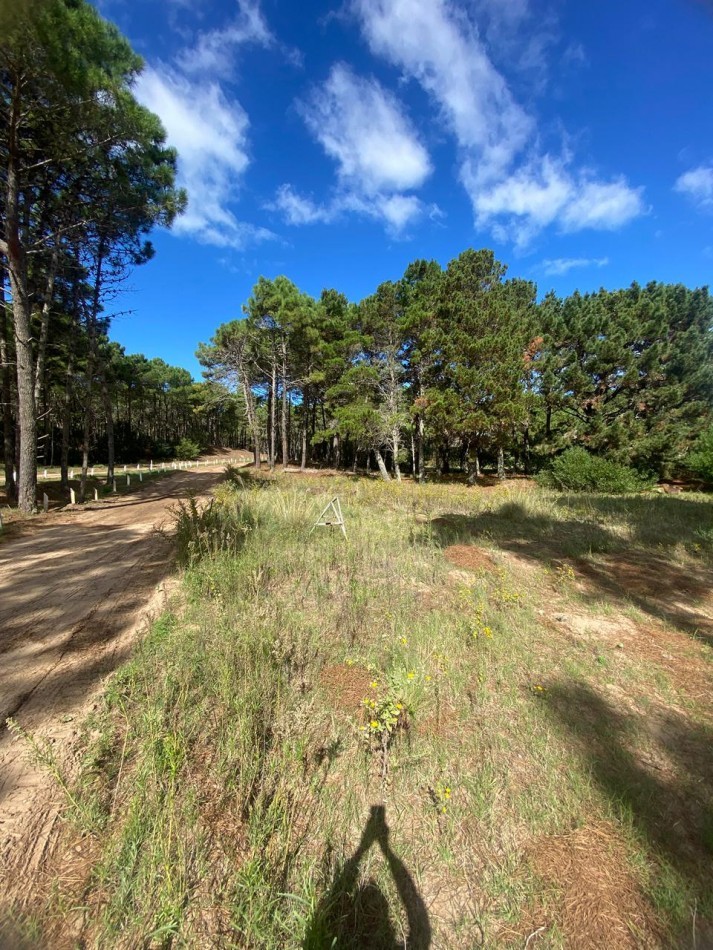 LOTE 58 -EN BARRIO BRISAS EN VILLA ROBLES -CERCANO AL MAR