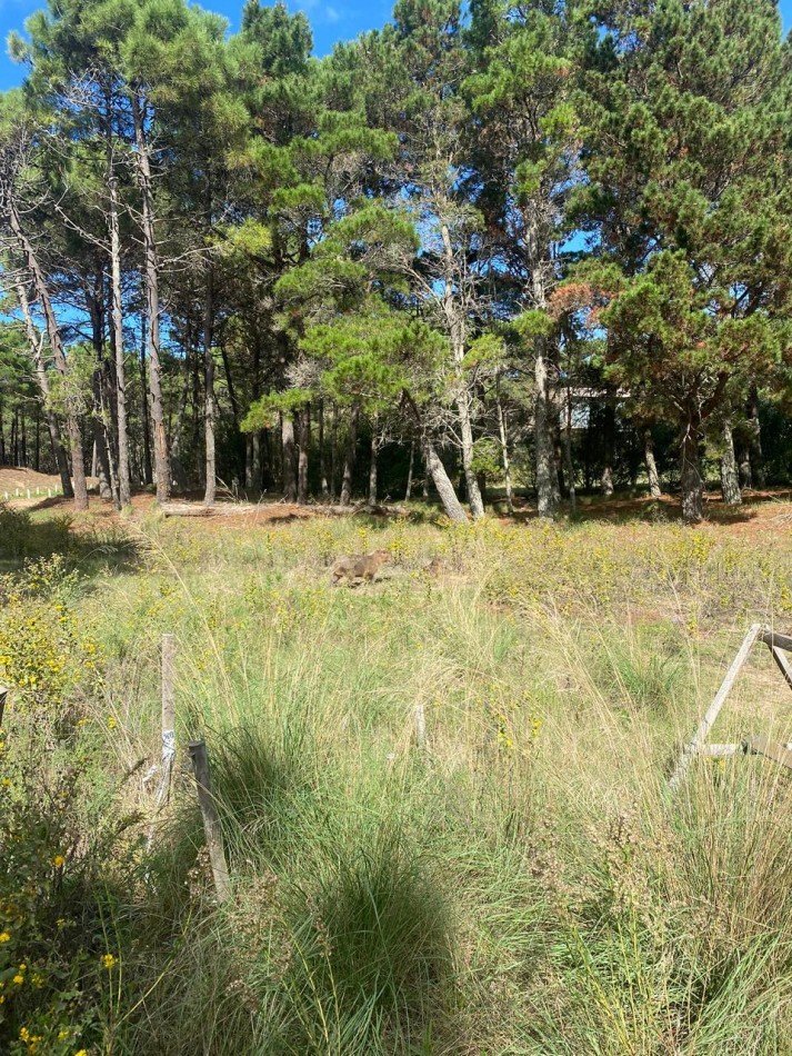 LOTE 58 -EN BARRIO BRISAS EN VILLA ROBLES -CERCANO AL MAR