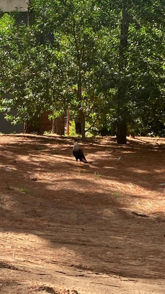 LOTE 58 -EN BARRIO BRISAS EN VILLA ROBLES -CERCANO AL MAR