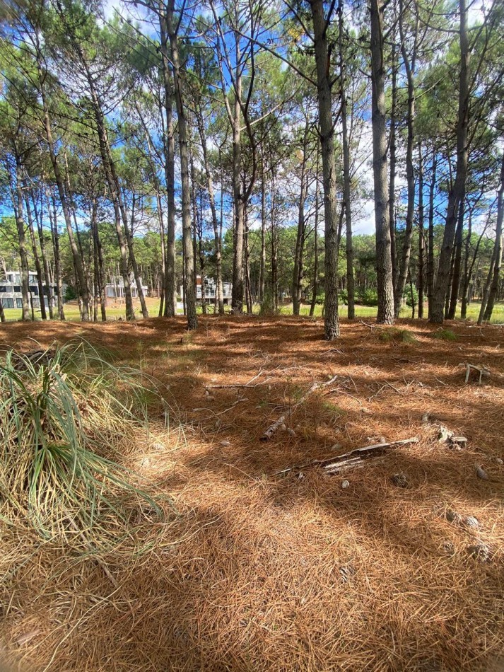 LOTE 58 -EN BARRIO BRISAS EN VILLA ROBLES -CERCANO AL MAR