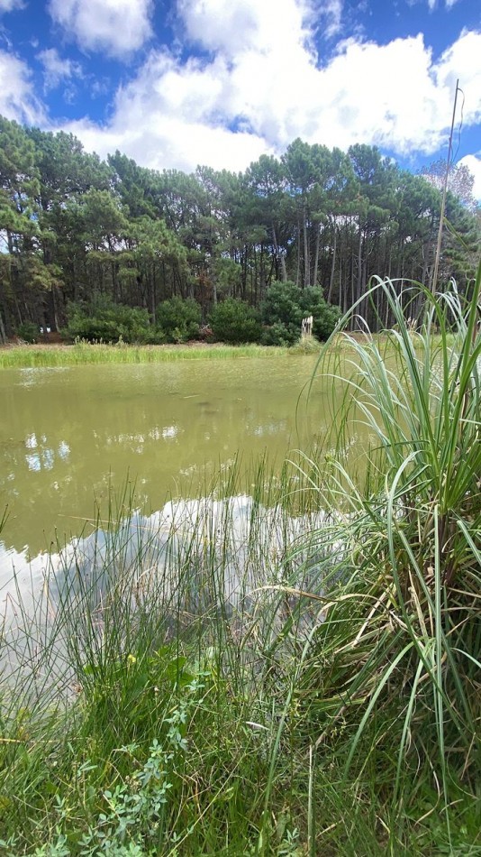 LOTE 58 -EN BARRIO BRISAS EN VILLA ROBLES -CERCANO AL MAR