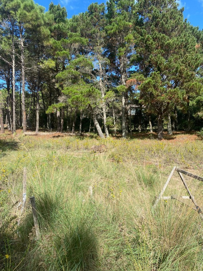 LOTE 58 -EN BARRIO BRISAS EN VILLA ROBLES -CERCANO AL MAR