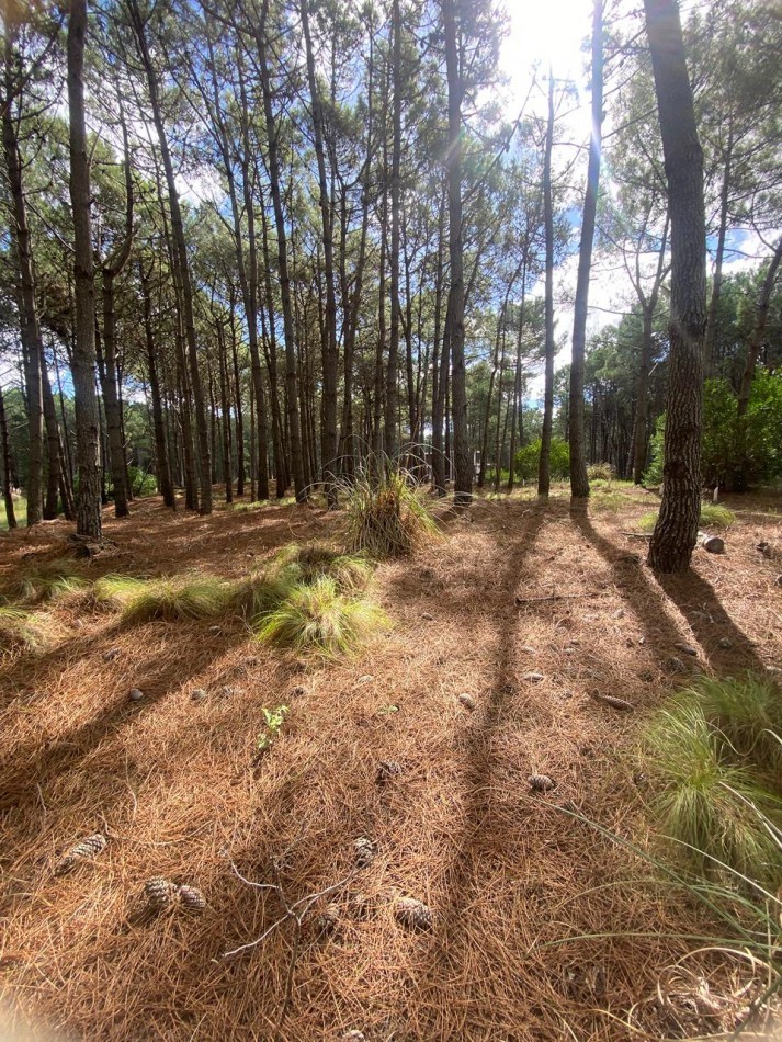 LOTE 58 -EN BARRIO BRISAS EN VILLA ROBLES -CERCANO AL MAR